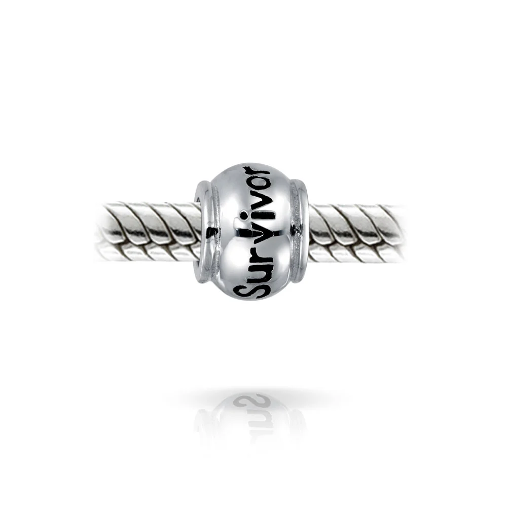 Set of 2 Ribbon Breast Cancer Survivor Message Dangle Charm Bead Silver - Image 3